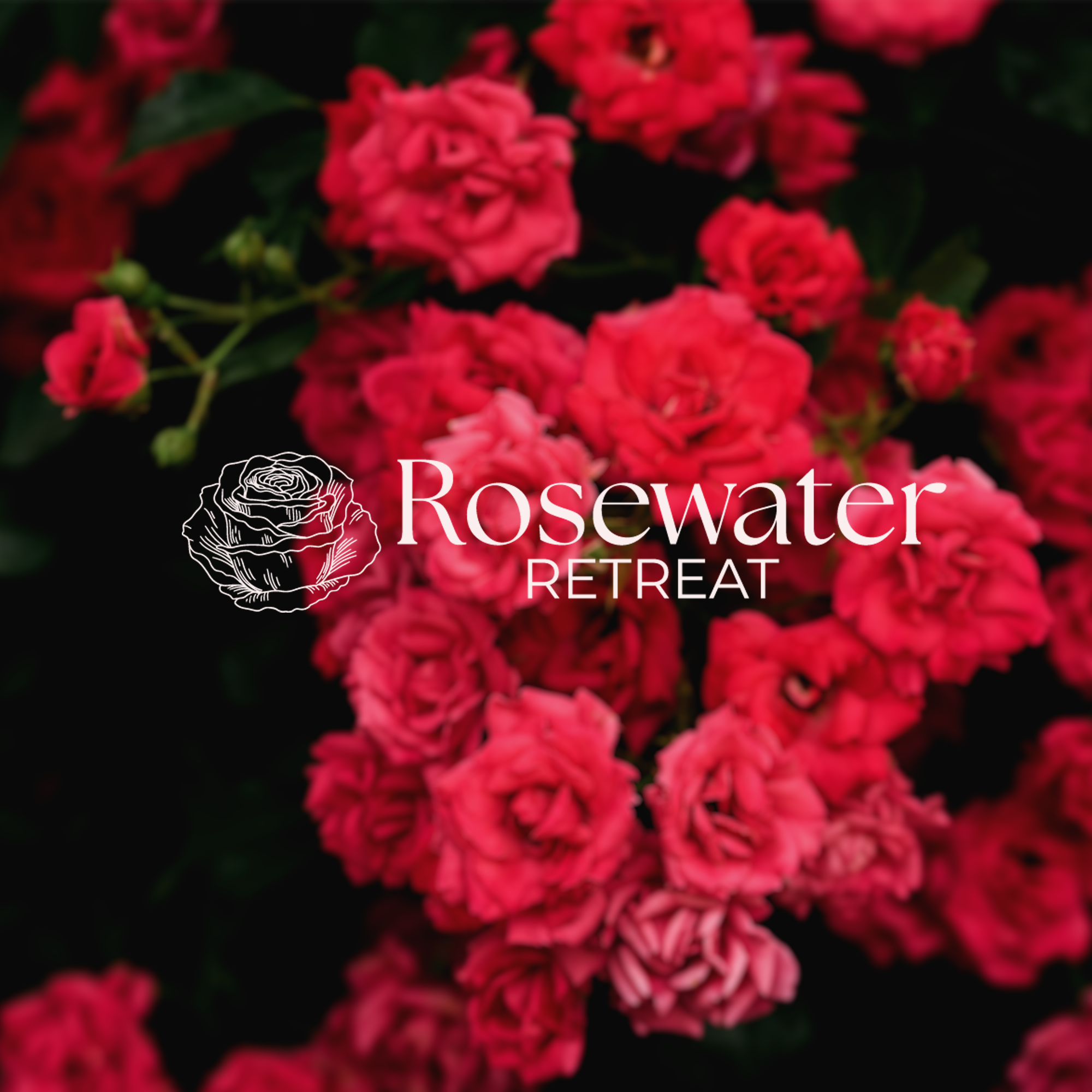 Rosewater Retreat